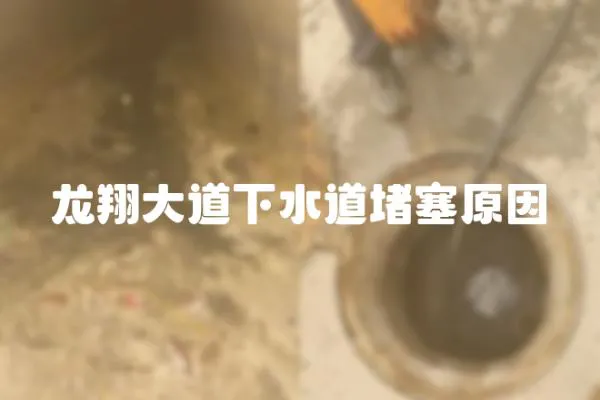 龍翔大道下水道堵塞原因