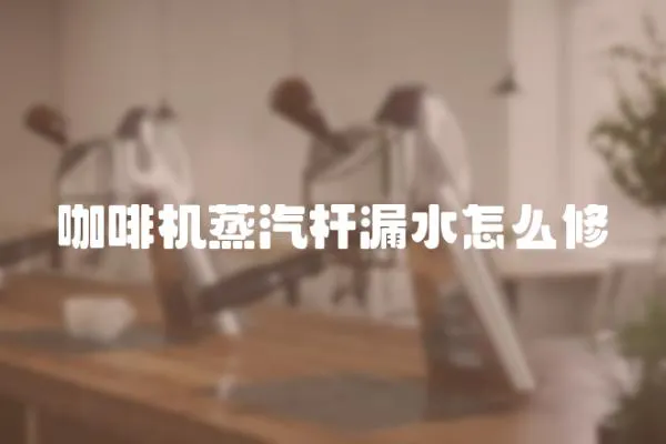 咖啡機蒸汽桿漏水怎么修