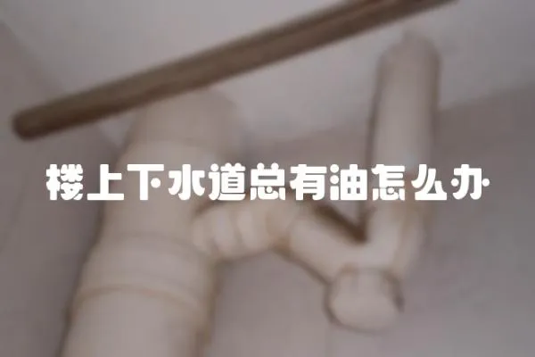 樓上下水道總有油怎么辦