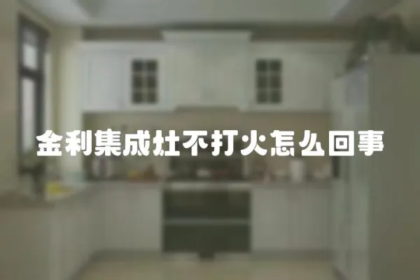 金利集成灶不打火怎么回事