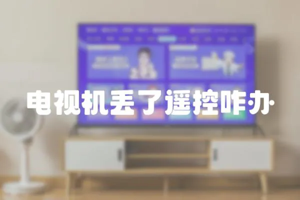 電視機(jī)丟了遙控咋辦