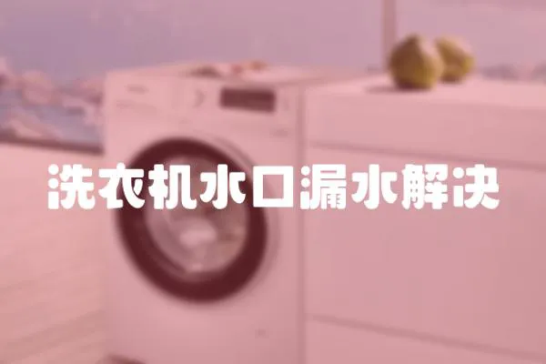 洗衣機水口漏水解決