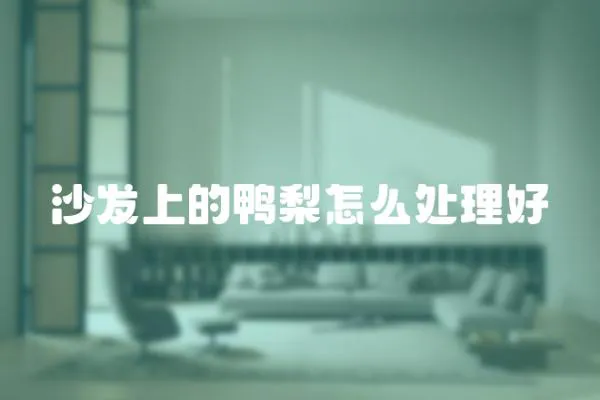沙發(fā)上的鴨梨怎么處理好