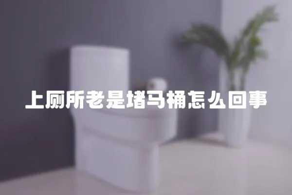上廁所老是堵馬桶怎么回事