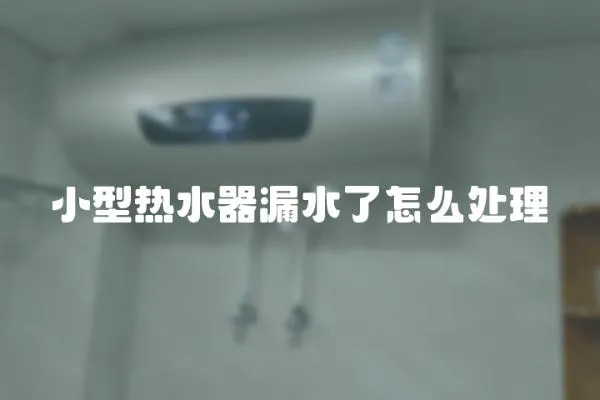 小型熱水器漏水了怎么處理
