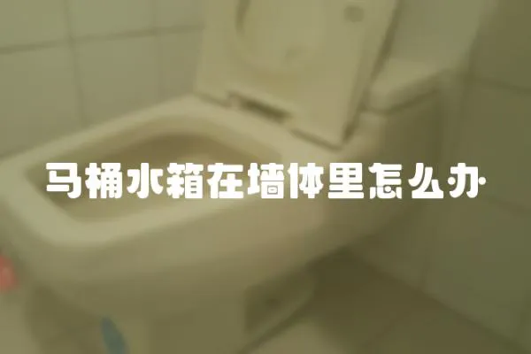 馬桶水箱在墻體里怎么辦