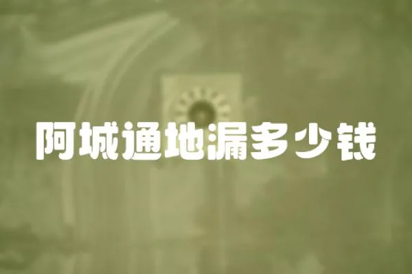 阿城通地漏多少錢