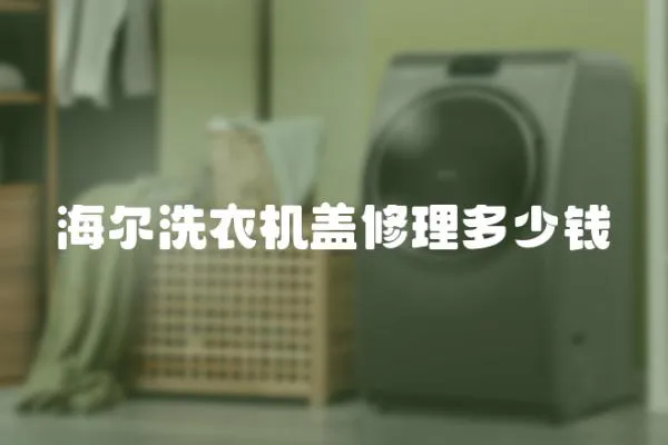 海爾洗衣機蓋修理多少錢