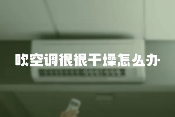吹空調很很干燥怎么辦