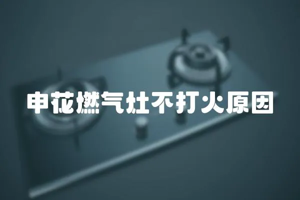 申花燃?xì)庠畈淮蚧鹪?></a></div>
                    <div   id=