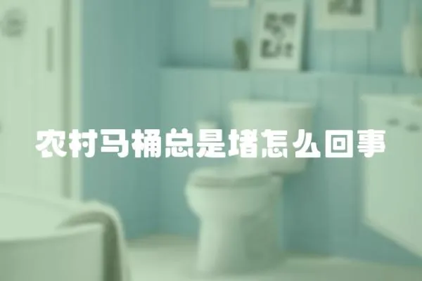 農(nóng)村馬桶總是堵怎么回事