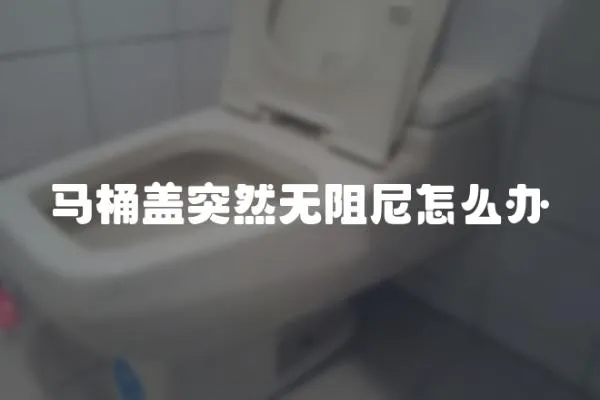 馬桶蓋突然無阻尼怎么辦