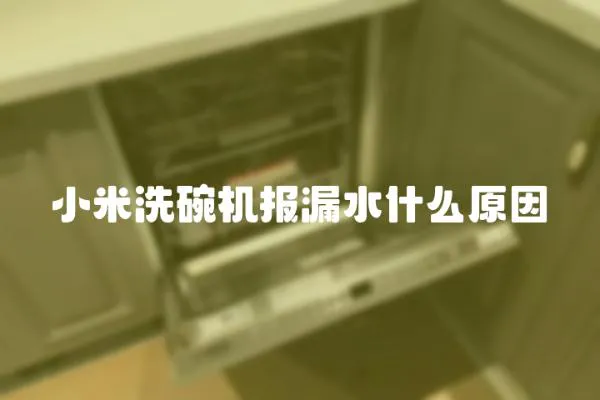 小米洗碗機報漏水什么原因