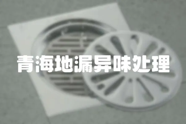 青海地漏異味處理