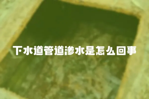下水道管道滲水是怎么回事