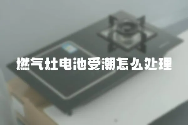 燃氣灶電池受潮怎么處理