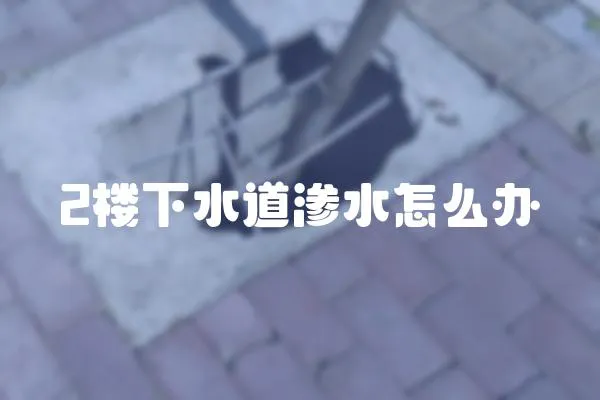 2樓下水道滲水怎么辦