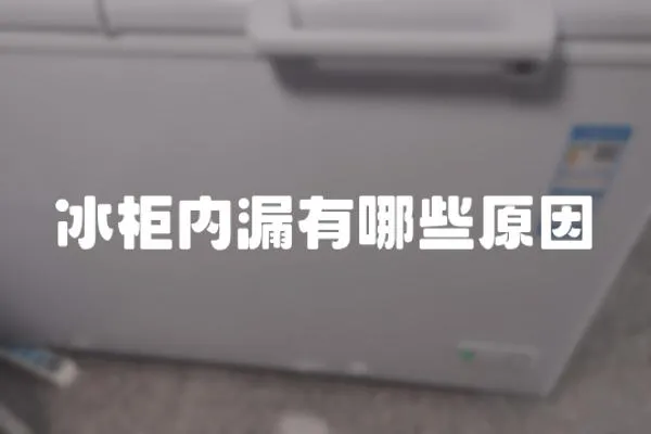 冰柜內(nèi)漏有哪些原因