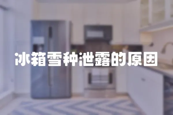 冰箱雪種泄露的原因