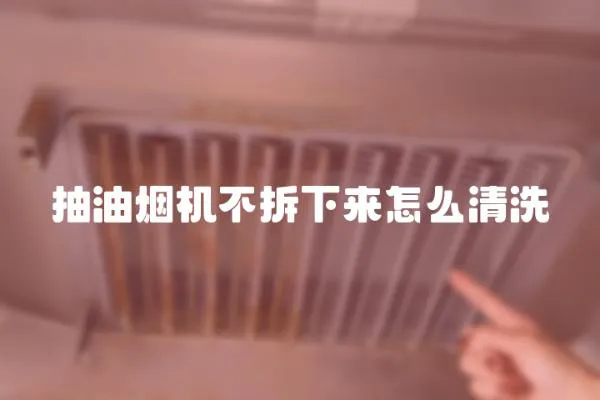 抽油煙機(jī)不拆下來(lái)怎么清洗