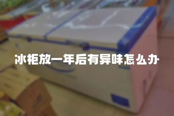 冰柜放一年后有異味怎么辦