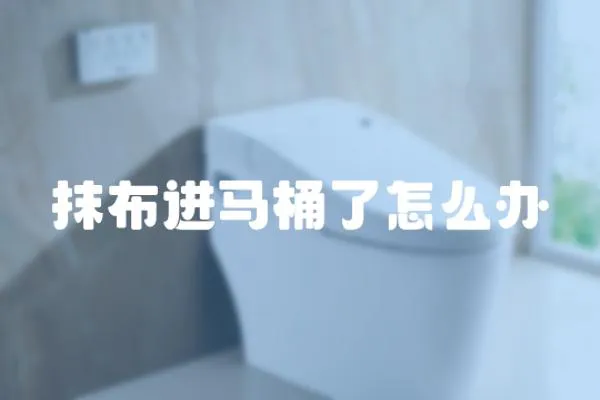 抹布進(jìn)馬桶了怎么辦