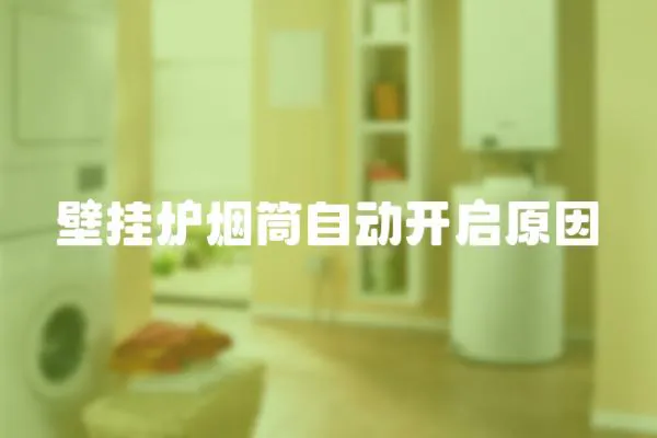 壁掛爐煙筒自動開啟原因