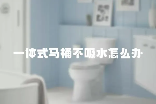 一體式馬桶不吸水怎么辦