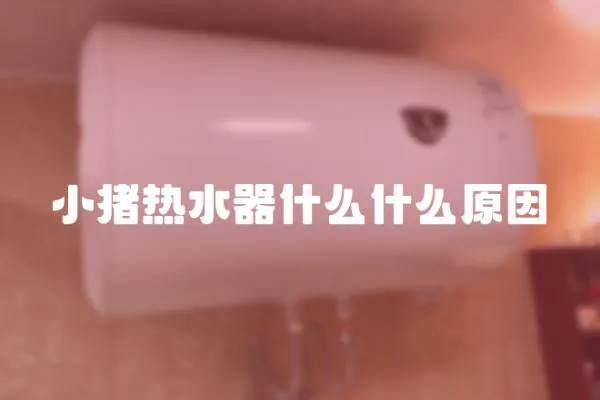 小猪热水器什么什么原因