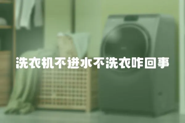 洗衣機不進水不洗衣咋回事