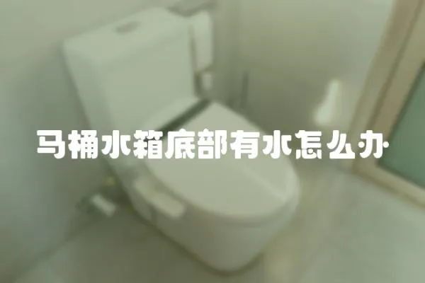 馬桶水箱底部有水怎么辦