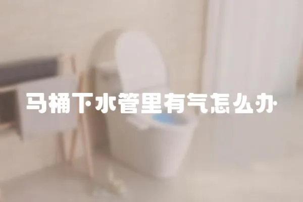 馬桶下水管里有氣怎么辦