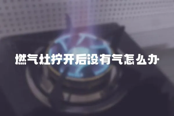 燃气灶拧开后没有气怎么办