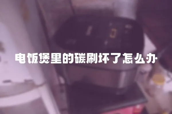 電飯煲里的碳刷壞了怎么辦