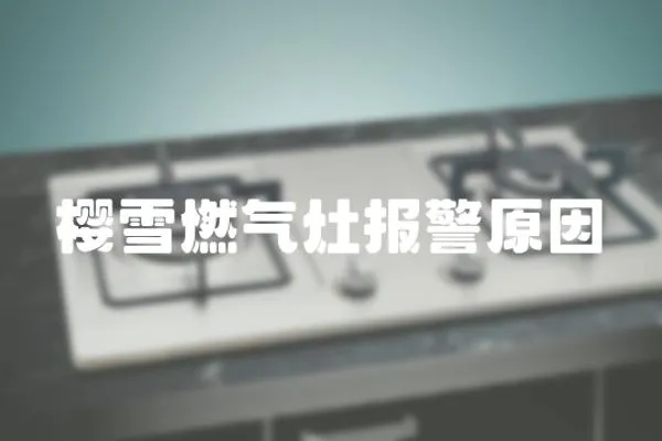 櫻雪燃氣灶報警原因