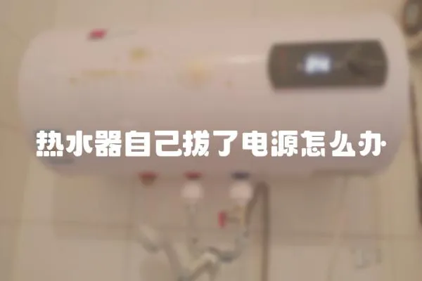 热水器自己拔了电源怎么办