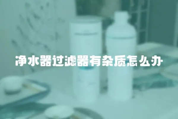 凈水器過濾器有雜質怎么辦