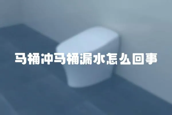 馬桶沖馬桶漏水怎么回事