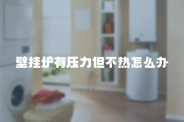 壁掛爐有壓力但不熱怎么辦