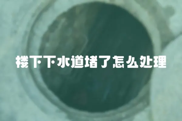 樓下下水道堵了怎么處理