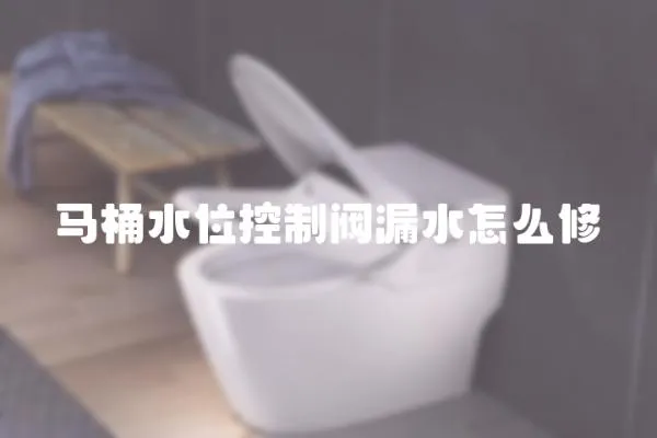 馬桶水位控制閥漏水怎么修