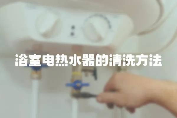 浴室電熱水器的清洗方法