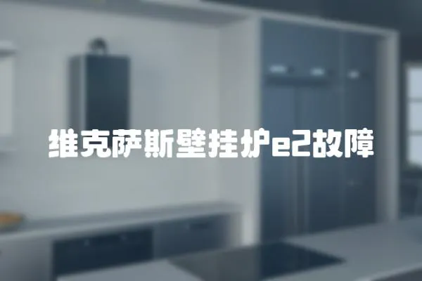 維克薩斯壁掛爐e2故障