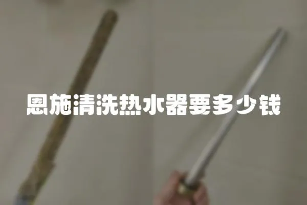 恩施清洗熱水器要多少錢