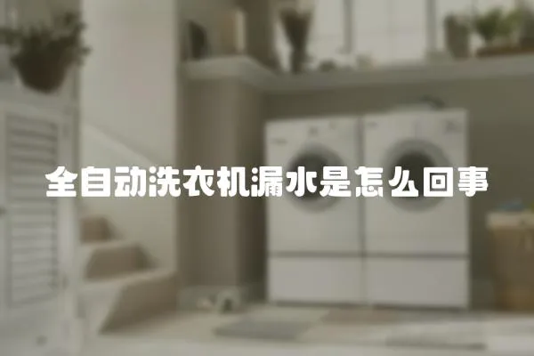 全自動洗衣機漏水是怎么回事