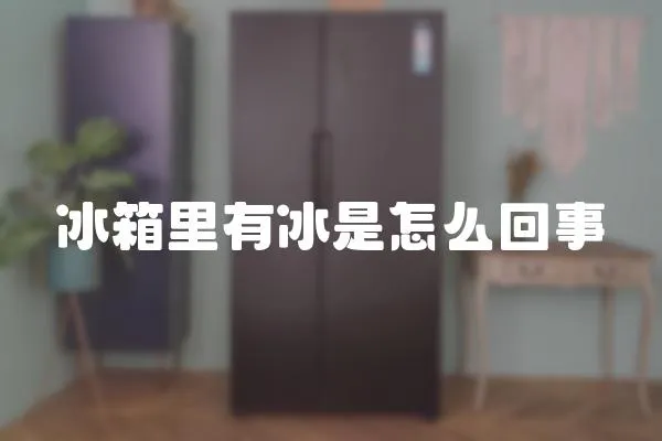 冰箱里有冰是怎么回事