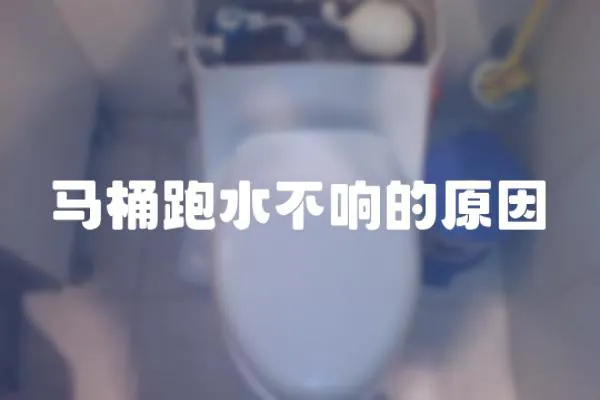 馬桶跑水不響的原因