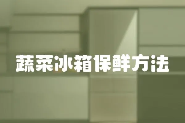 蔬菜冰箱保鮮方法