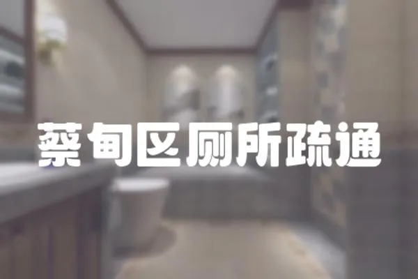 蔡甸區廁所疏通