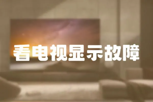 看電視顯示故障